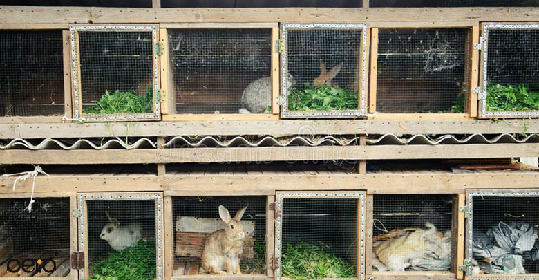 قفس مخصوص خرگوش
