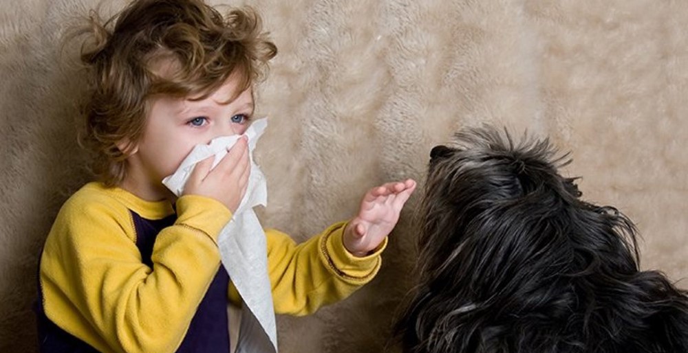 حیوانات خانگی مناسب برای کودکان مبتلا به آسم